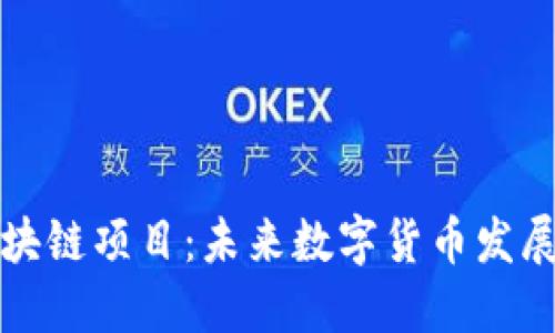 纳诺币区块链项目：未来数字货币发展的新方向