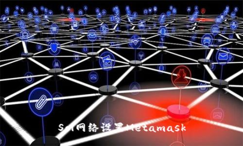 Sol网络设置Metamask