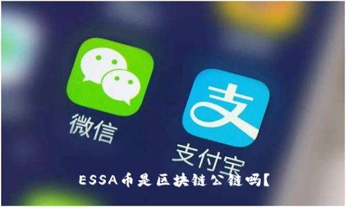 ESSA币是区块链公链吗？