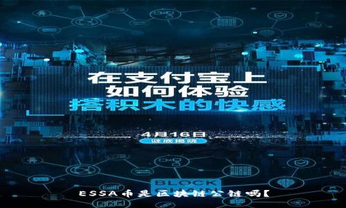 ESSA币是区块链公链吗？