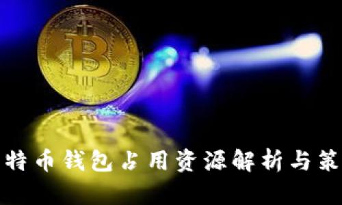 比特币钱包占用资源解析与策略