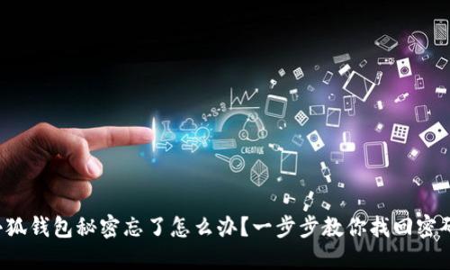 小狐钱包秘密忘了怎么办？一步步教你找回密码！