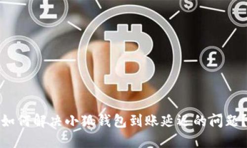 如何解决小狐钱包到账延迟的问题？