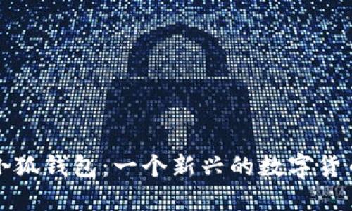 全面解读小狐钱包：一个新兴的数字货币钱包品牌
