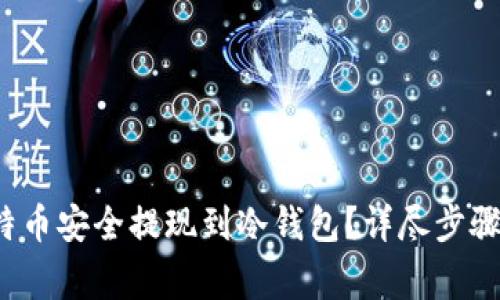  如何将比特币安全提现到冷钱包？详尽步骤与注意事项