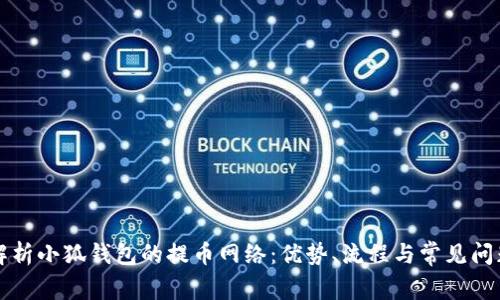解析小狐钱包的提币网络：优势、流程与常见问题