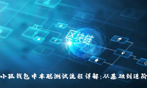 小狐钱包中本聪测试流程详解：从基础到进阶