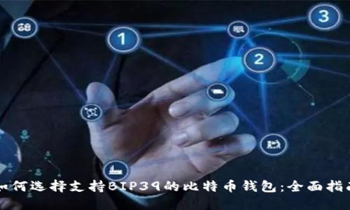 如何选择支持BIP39的比特币钱包：全面指南
