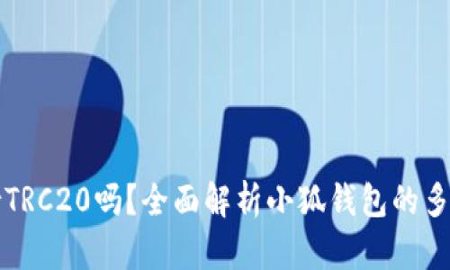 小狐钱包支持TRC20吗?全面解析小狐钱包的多链支持与功能