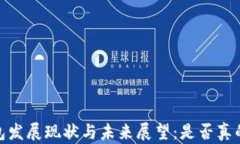 狗狗币钱包发展现状与未来展望：是否