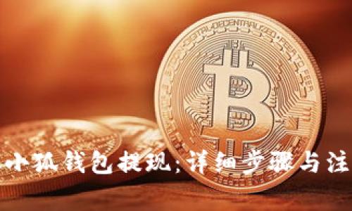 如何从小狐钱包提现:详细步骤与注意事项