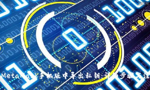 如何在MetaMask手机版中导出私钥:详细步骤与注意事项