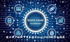国内用户如何下载和安装MetaMask的详细