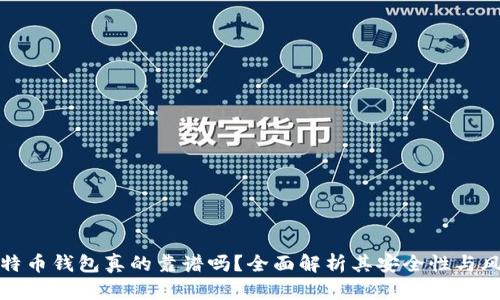 比特币钱包真的靠谱吗？全面解析其安全性与风险