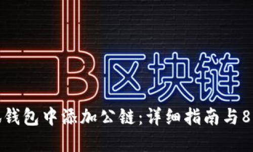 如何在小狐钱包中添加公链：详细指南与8个实用步骤