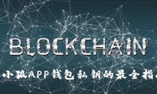 揭秘:如何查看小狐APP钱包私钥的最全指南(附3个步骤)