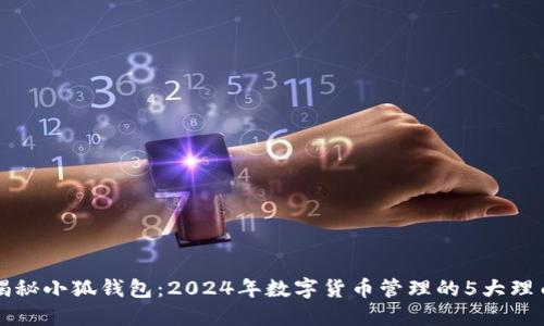 揭秘小狐钱包：2024年数字货币管理的5大理由