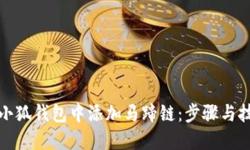 如何在小狐钱包中添加马蹄链:步骤与技巧详解