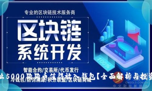 为什么5000狗狗币值得放入钱包？全面解析与投资策略