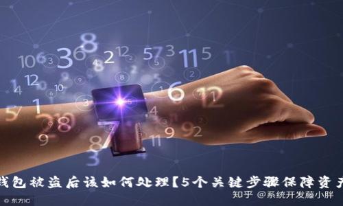 小狐钱包被盗后该如何处理？5个关键步骤保障资产安全