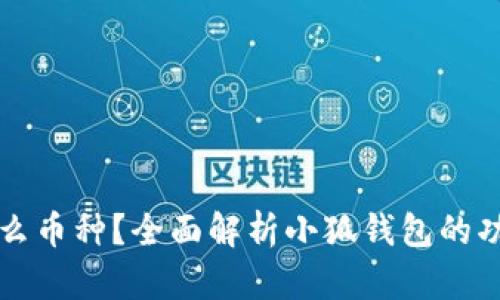 小狐钱包是什么币种?全面解析小狐钱包的功能与币种介绍