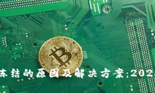 比特币钱包冻结的原因及解决方案：2023年用户指南
