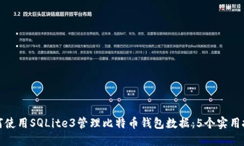 如何使用SQLite3管理比特币钱包数据：5个实用技巧
