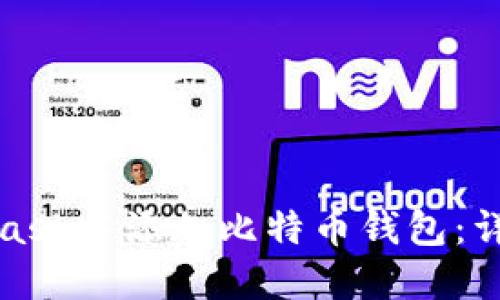 如何在MetaMask中添加比特币钱包：详细步骤和技巧