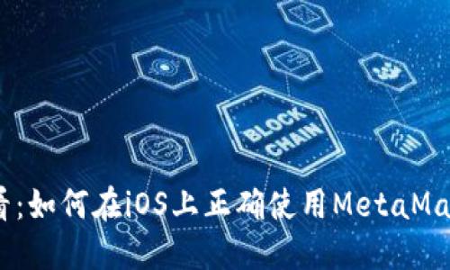 苹果手机用户必看：如何在iOS上正确使用MetaMask钱包的6个步骤