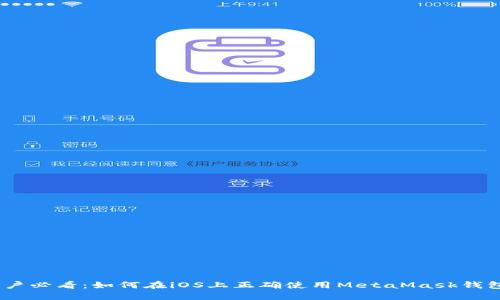 苹果手机用户必看：如何在iOS上正确使用MetaMask钱包的6个步骤