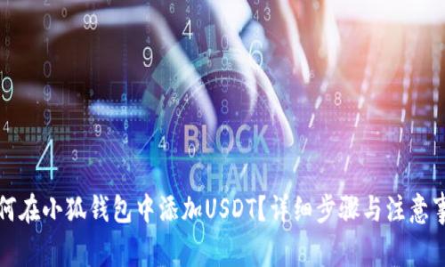 如何在小狐钱包中添加USDT？详细步骤与注意事项