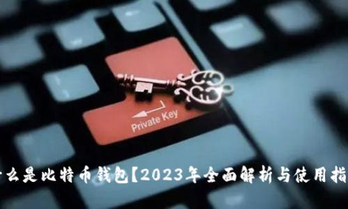 什么是比特币钱包？2023年全面解析与使用指南