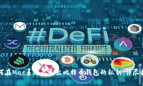 如何在Mac系统上导出比特币钱包的私钥：详尽指南