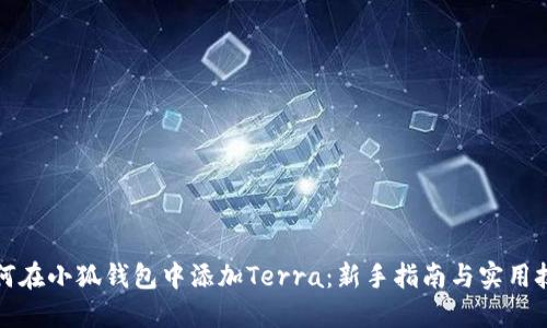 如何在小狐钱包中添加Terra：新手指南与实用技巧