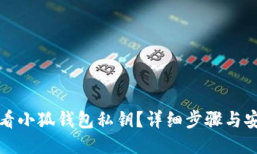 如何查看小狐钱包私钥?详细步骤与安全提示