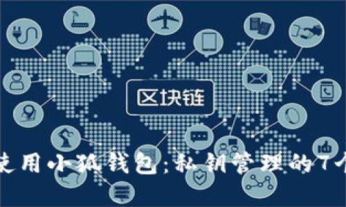 如何安全使用小狐钱包:私钥管理的7个实用技巧