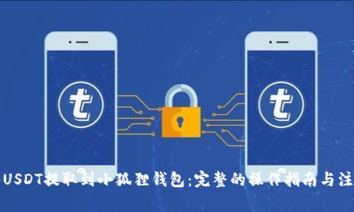 如何将USDT提取到小狐狸钱包：完整的操作指南与注意事项