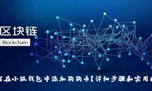 如何在小狐钱包中添加狗狗币?详细步骤和实用技巧