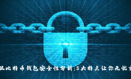 小狐比特币钱包安全性分析:5大特点让你无忧交易