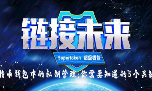 比特币钱包中的私钥管理：你需要知道的5个关键点