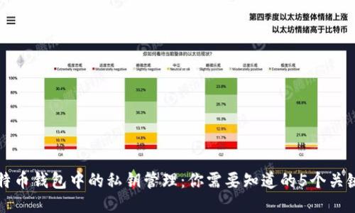 比特币钱包中的私钥管理：你需要知道的5个关键点