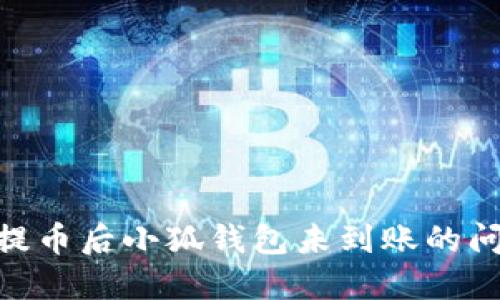 如何解决中本聪提币后小狐钱包未到账的问题?5个实用步骤