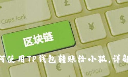 2023年最全指南:如何使用TP钱包转账给小狐,详解操作步骤与注意事项