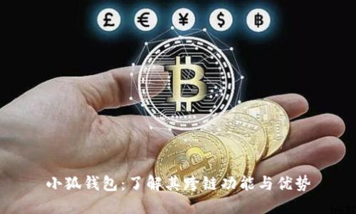 小狐钱包:了解其跨链功能与优势