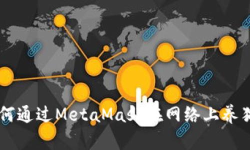 2023年详解：如何通过MetaMask在网络上养猫的5个简单步骤