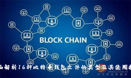 全面解析16种比特币钱包文件的类型及其使用技巧