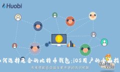 如何选择适合的比特币钱包：iOS用户的