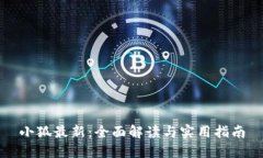 小狐最新：全面解读与实用指南